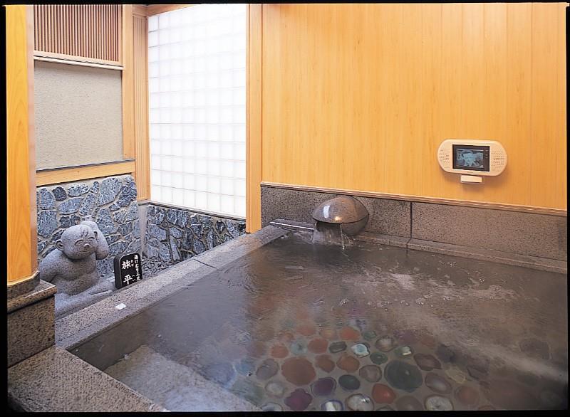 Hotel Seifuuen Shibata  Instalações foto